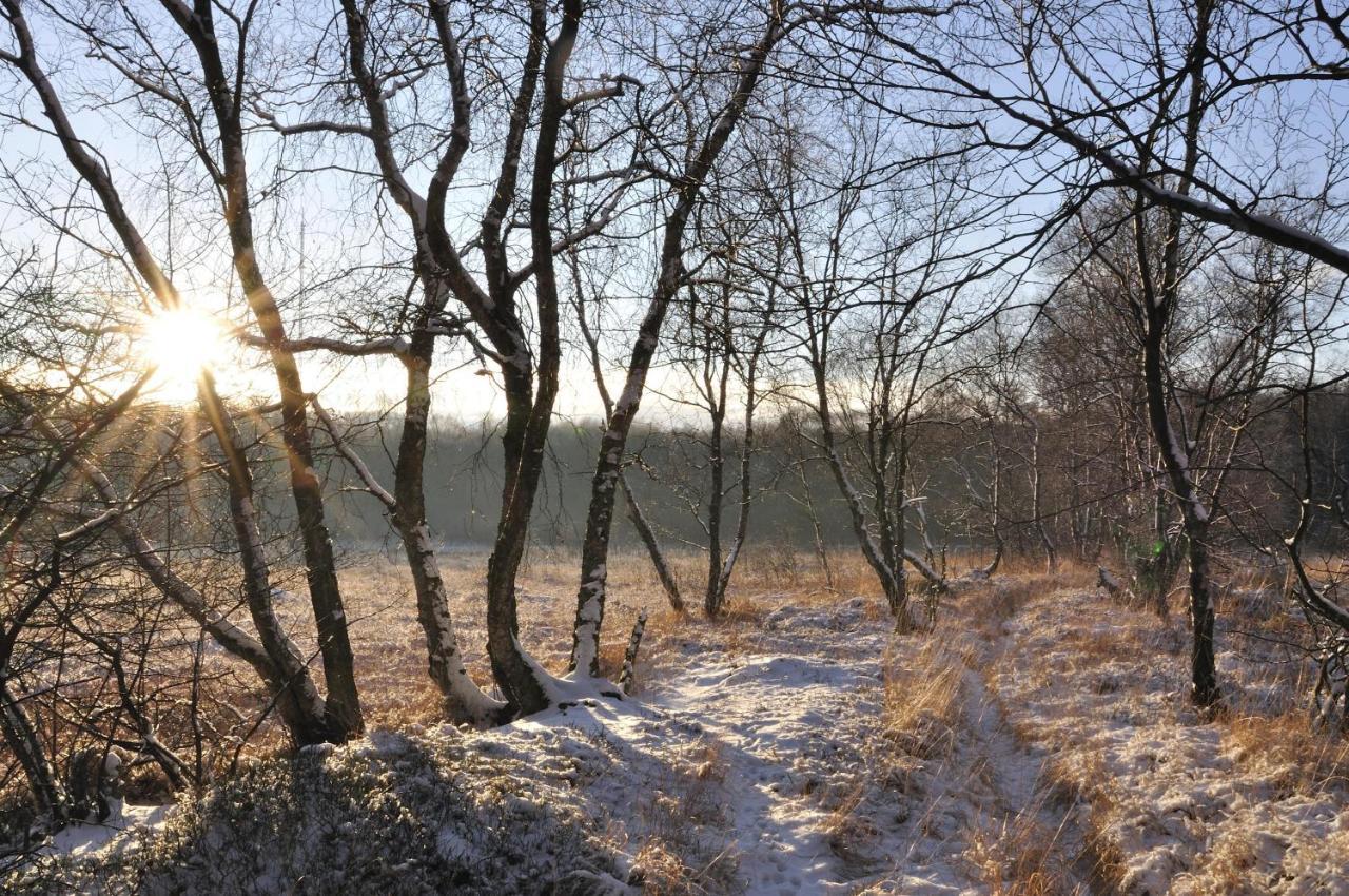 Ferienhof Jepsen Westerholz Buitenkant foto